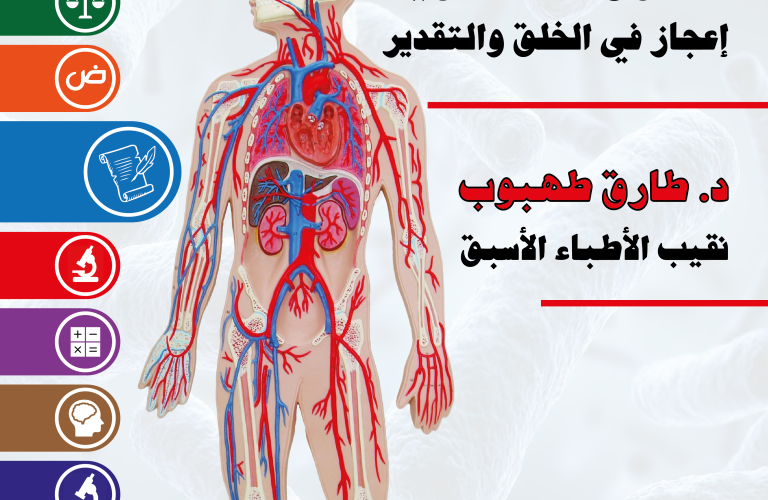 الدورة الدموية إعجاز في الخلق والتقدير