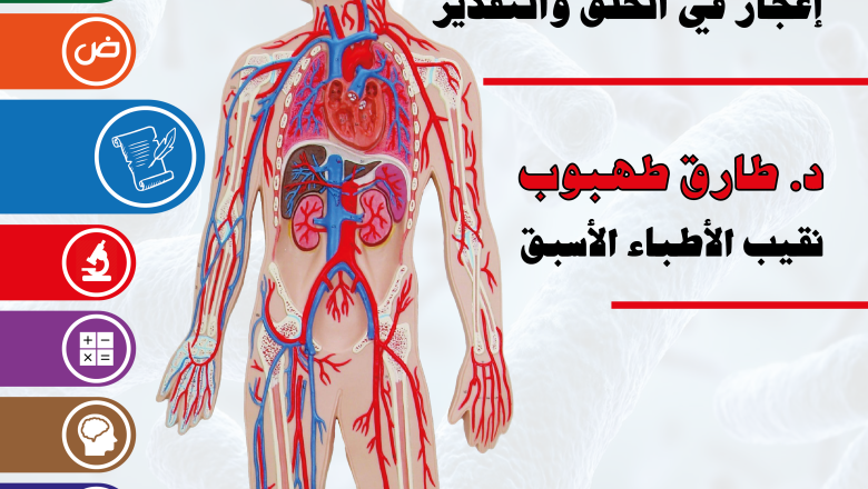 الدورة الدموية إعجاز في الخلق والتقدير